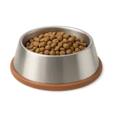 Uma taça de inox cheia de ração