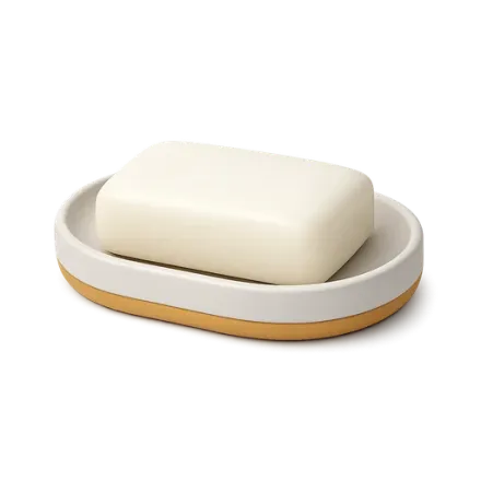 A bar of soap on its dish